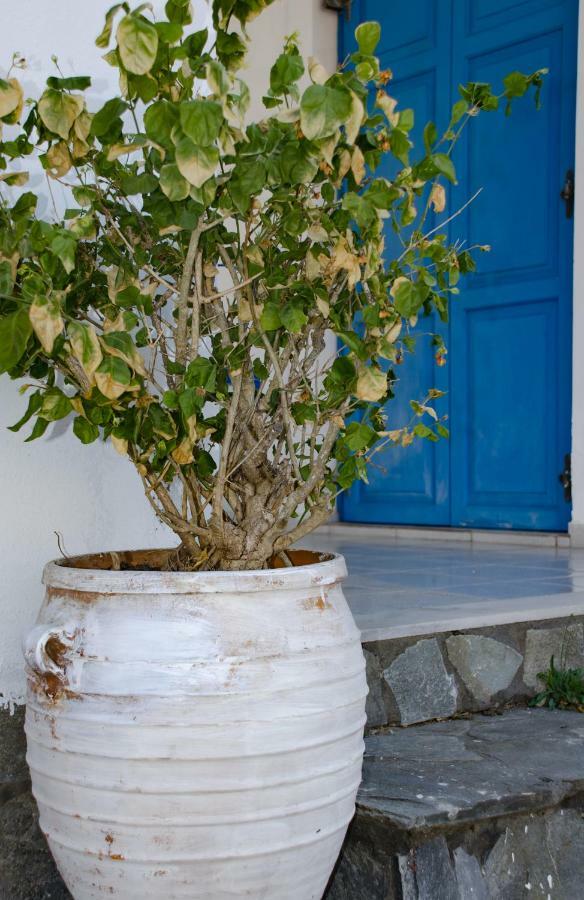 Villa Georgia Vasilikos Exterior foto
